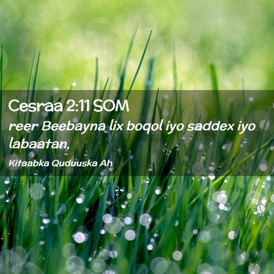 Picture 02 - Cesraa 2:11 SOM - reer Beebayna lix boqol iyo saddex iyo - Bible Verse Picture