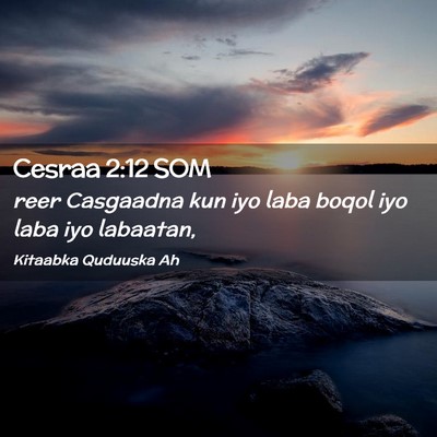 Picture 02 - Cesraa 2:12 SOM - reer Casgaadna kun iyo laba boqol iyo laba iyo - Bible Verse Picture