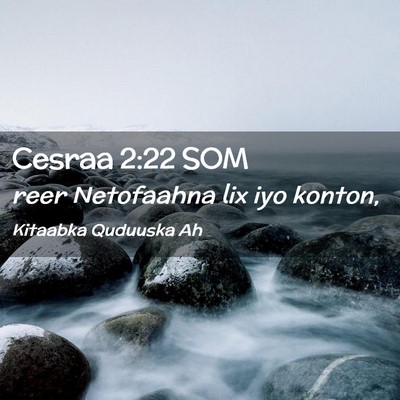 Picture 02 - Cesraa 2:22 SOM - reer Netofaahna lix iyo - Bible Verse Picture