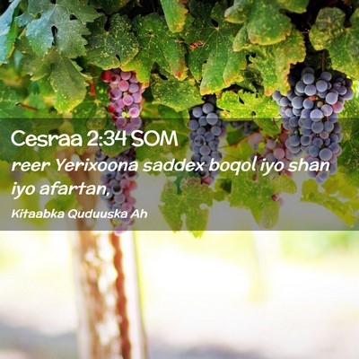 Picture 02 - Cesraa 2:34 SOM - reer Yerixoona saddex boqol iyo shan iyo - Bible Verse Picture