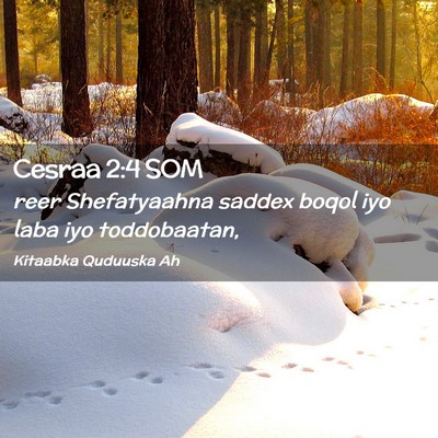 Picture 02 - Cesraa 2:4 SOM - reer Shefatyaahna saddex boqol iyo laba iyo - Bible Verse Picture