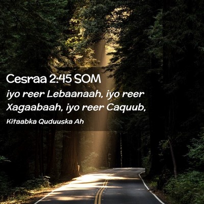 Picture 02 - Cesraa 2:45 SOM - iyo reer Lebaanaah, iyo reer Xagaabaah, iyo reer - Bible Verse Picture