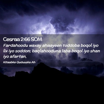 Picture 02 - Cesraa 2:66 SOM - Fardahoodu waxay ahaayeen toddoba boqol iyo lix - Bible Verse Picture