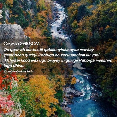 Picture 02 - Cesraa 2:68 SOM - Oo qaar ah madaxdii qabiilooyinka ayaa markay - Bible Verse Picture