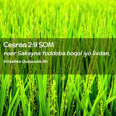 Picture 02 - Cesraa 2:9 SOM - reer Sakayna toddoba boqol iyo - Bible Verse Picture