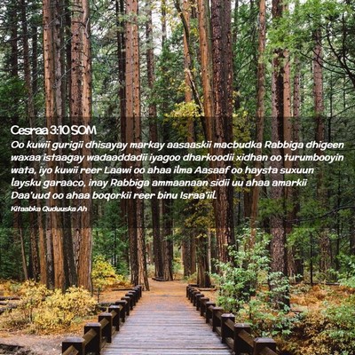 Picture 02 - Cesraa 3:10 SOM - Oo kuwii gurigii dhisayay markay aasaaskii - Bible Verse Picture