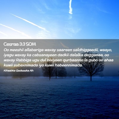 Picture 02 - Cesraa 3:3 SOM - Oo meeshii allabariga waxay saareen - Bible Verse Picture