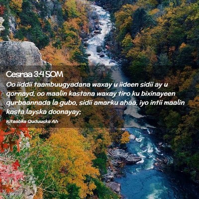 Picture 02 - Cesraa 3:4 SOM - Oo iiddii taambuugyadana waxay u iideen sidii ay - Bible Verse Picture