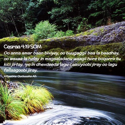 Picture 02 - Cesraa 4:19 SOM - Oo anna amar baan bixiyey, oo buugaggii baa la - Bible Verse Picture