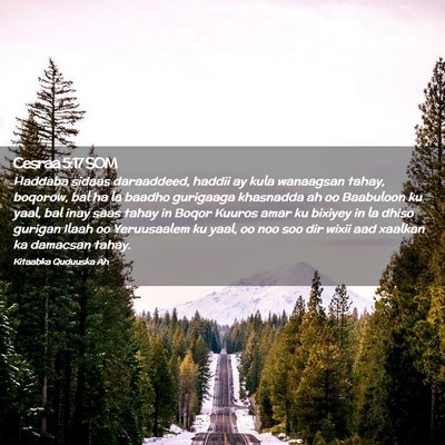 Picture 02 - Cesraa 5:17 SOM - Haddaba sidaas daraaddeed, haddii ay kula - Bible Verse Picture