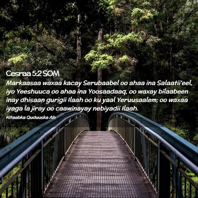 Picture 02 - Cesraa 5:2 SOM - Markaasaa waxaa kacay Serubaabel oo ahaa ina - Bible Verse Picture