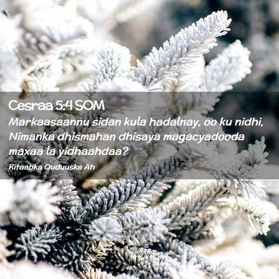Picture 02 - Cesraa 5:4 SOM - Markaasaannu sidan kula hadalnay, oo ku nidhi, - Bible Verse Picture