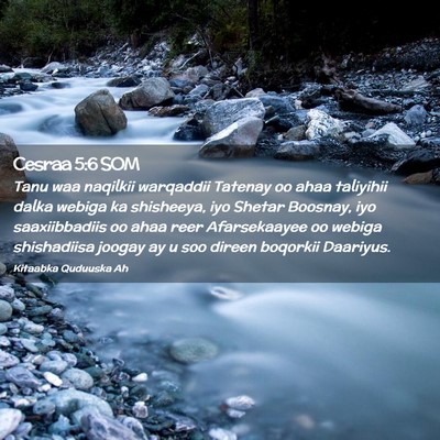 Picture 02 - Cesraa 5:6 SOM - Tanu waa naqilkii warqaddii Tatenay oo ahaa - Bible Verse Picture
