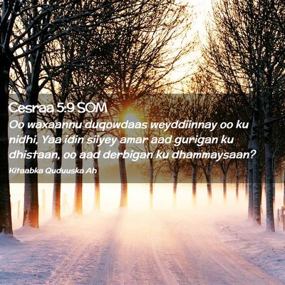 Picture 02 - Cesraa 5:9 SOM - Oo waxaannu duqowdaas weyddiinnay oo ku nidhi, - Bible Verse Picture