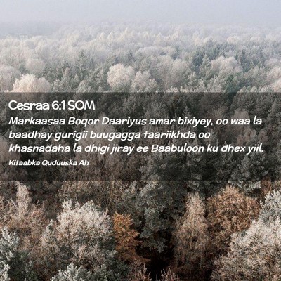 Picture 02 - Cesraa 6:1 SOM - Markaasaa Boqor Daariyus amar bixiyey, oo waa la - Bible Verse Picture