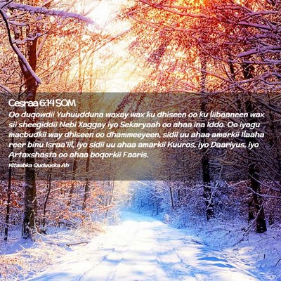 Picture 02 - Cesraa 6:14 SOM - Oo duqowdii Yuhuudduna waxay wax ku dhiseen oo ku - Bible Verse Picture
