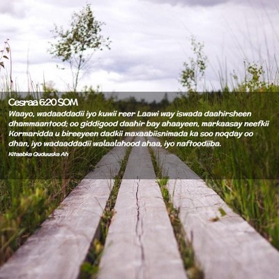 Picture 02 - Cesraa 6:20 SOM - Waayo, wadaaddadii iyo kuwii reer Laawi way - Bible Verse Picture