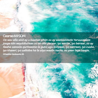 Picture 02 - Cesraa 6:9 SOM - Oo wax alla wixii ay u baahan yihiin oo ay - Bible Verse Picture