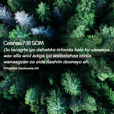 Picture 02 - Cesraa 7:18 SOM - Oo lacagta iyo dahabka intooda kale ku sameeya - Bible Verse Picture