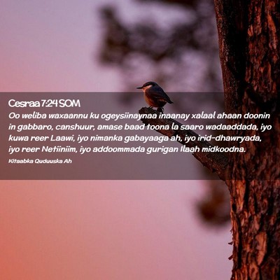 Picture 02 - Cesraa 7:24 SOM - Oo weliba waxaannu ku ogeysiinaynaa inaanay - Bible Verse Picture
