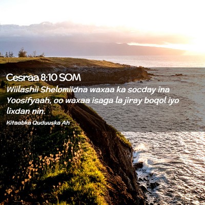 Picture 02 - Cesraa 8:10 SOM - Wiilashii Shelomiidna waxaa ka socday ina - Bible Verse Picture