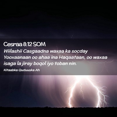 Picture 02 - Cesraa 8:12 SOM - Wiilashii Casgaadna waxaa ka socday Yooxaanaan oo - Bible Verse Picture