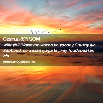 Picture 02 - Cesraa 8:14 SOM - Wiilashii Bigwayna waxaa ka socday Cuutay iyo - Bible Verse Picture