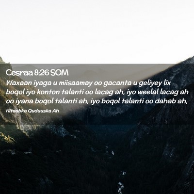Picture 02 - Cesraa 8:26 SOM - Waxaan iyaga u miisaamay oo gacanta u geliyey lix - Bible Verse Picture