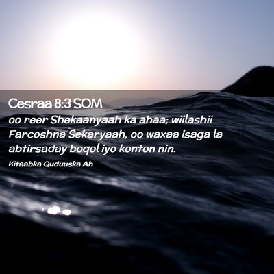 Picture 02 - Cesraa 8:3 SOM - oo reer Shekaanyaah ka ahaa; wiilashii Farcoshna - Bible Verse Picture