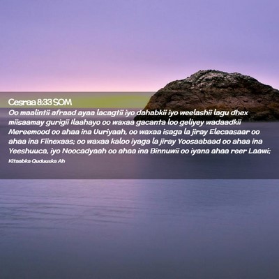 Picture 02 - Cesraa 8:33 SOM - Oo maalintii afraad ayaa lacagtii iyo dahabkii - Bible Verse Picture