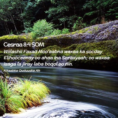 Picture 02 - Cesraa 8:4 SOM - Wiilashii Faxad Moo'aabna waxaa ka socday - Bible Verse Picture