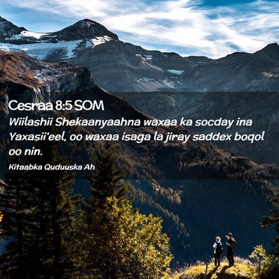 Picture 02 - Cesraa 8:5 SOM - Wiilashii Shekaanyaahna waxaa ka socday ina - Bible Verse Picture