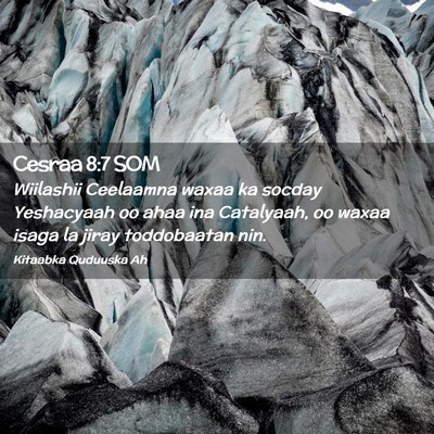 Picture 02 - Cesraa 8:7 SOM - Wiilashii Ceelaamna waxaa ka socday Yeshacyaah oo - Bible Verse Picture