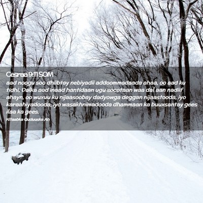 Picture 02 - Cesraa 9:11 SOM - aad noogu soo dhiibtay nebiyadii addoommadaada - Bible Verse Picture
