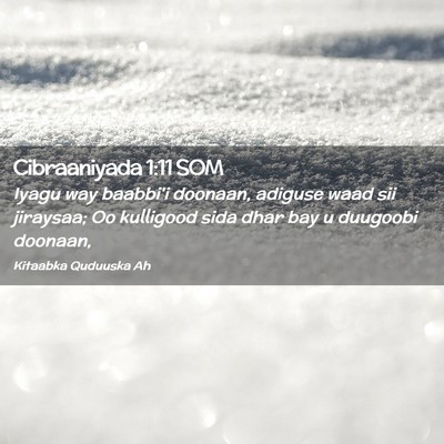 Picture 02 - Cibraaniyada 1:11 SOM - Iyagu way baabbi'i doonaan, adiguse waad sii - Bible Verse Picture