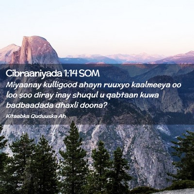 Picture 02 - Cibraaniyada 1:14 SOM - Miyaanay kulligood ahayn ruuxyo kaalmeeya oo loo - Bible Verse Picture