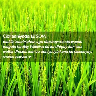 Picture 02 - Cibraaniyada 1:2 SOM - laakiin maalmahan ugu dambaystooda wuxuu inagula - Bible Verse Picture