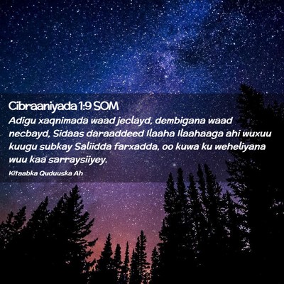 Picture 02 - Cibraaniyada 1:9 SOM - Adigu xaqnimada waad jeclayd, dembigana waad - Bible Verse Picture