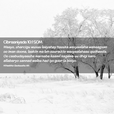 Picture 02 - Cibraaniyada 10:1 SOM - Waayo, sharcigu wuxuu leeyahay hooska waxyaalaha - Bible Verse Picture