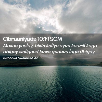 Picture 02 - Cibraaniyada 10:14 SOM - Maxaa yeelay, bixin keliya ayuu kaamil kaga - Bible Verse Picture