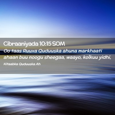 Picture 02 - Cibraaniyada 10:15 SOM - Oo taas Ruuxa Quduuska ahuna markhaati ahaan buu - Bible Verse Picture