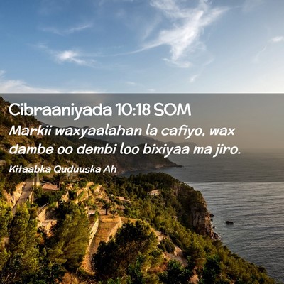 Picture 02 - Cibraaniyada 10:18 SOM - Markii waxyaalahan la cafiyo, wax dambe oo dembi - Bible Verse Picture
