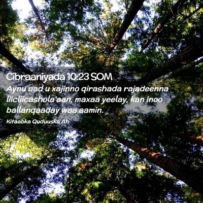 Picture 02 - Cibraaniyada 10:23 SOM - Aynu aad u xajinno qirashada rajadeenna - Bible Verse Picture