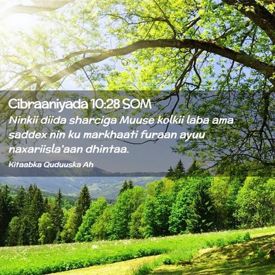Picture 02 - Cibraaniyada 10:28 SOM - Ninkii diida sharciga Muuse kolkii laba ama - Bible Verse Picture