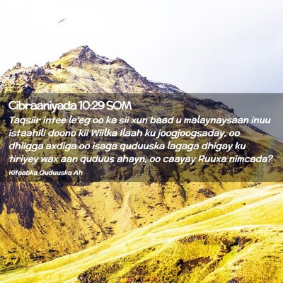 Picture 02 - Cibraaniyada 10:29 SOM - Taqsiir intee le'eg oo ka sii xun baad u - Bible Verse Picture