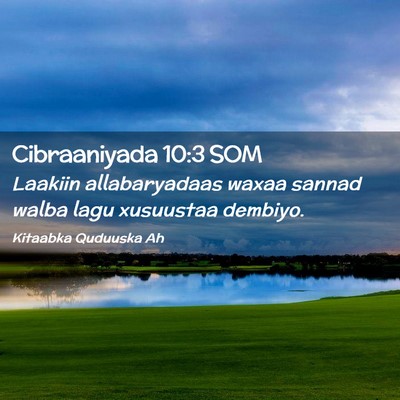 Picture 02 - Cibraaniyada 10:3 SOM - Laakiin allabaryadaas waxaa sannad walba lagu - Bible Verse Picture