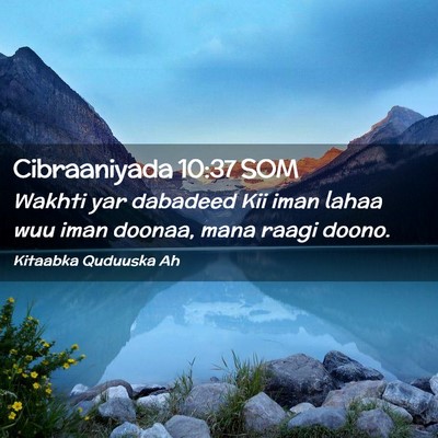 Picture 02 - Cibraaniyada 10:37 SOM - Wakhti yar dabadeed Kii iman lahaa wuu iman - Bible Verse Picture
