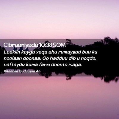 Picture 02 - Cibraaniyada 10:38 SOM - Laakiin kayga xaqa ahu rumaysad buu ku noolaan - Bible Verse Picture