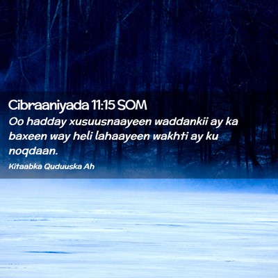Picture 02 - Cibraaniyada 11:15 SOM - Oo hadday xusuusnaayeen waddankii ay ka baxeen - Bible Verse Picture