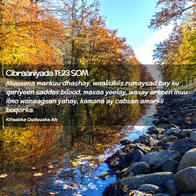 Picture 02 - Cibraaniyada 11:23 SOM - Muusena markuu dhashay, waalidkiis rumaysad bay - Bible Verse Picture